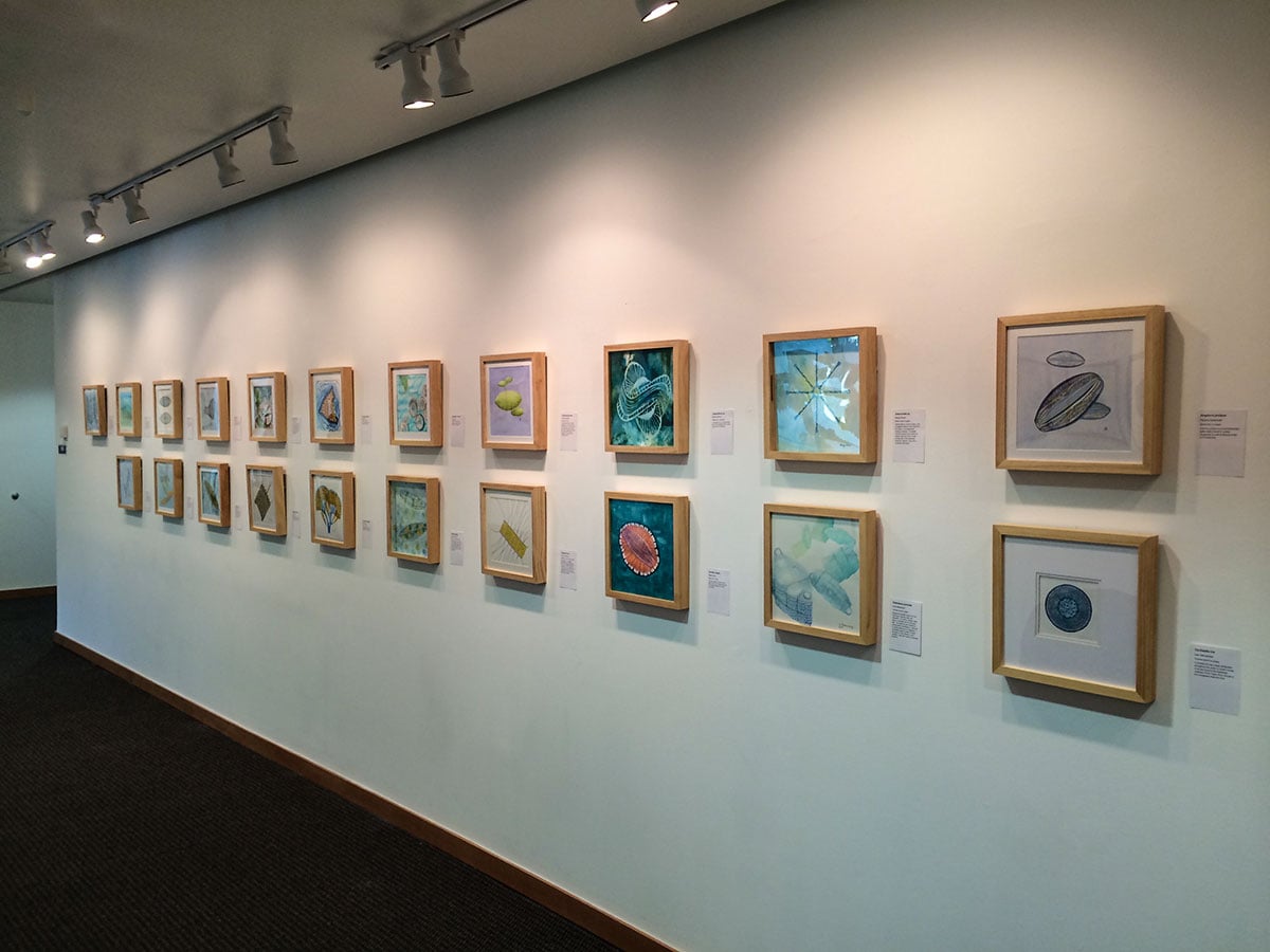 In Deep with Diatoms exhibit