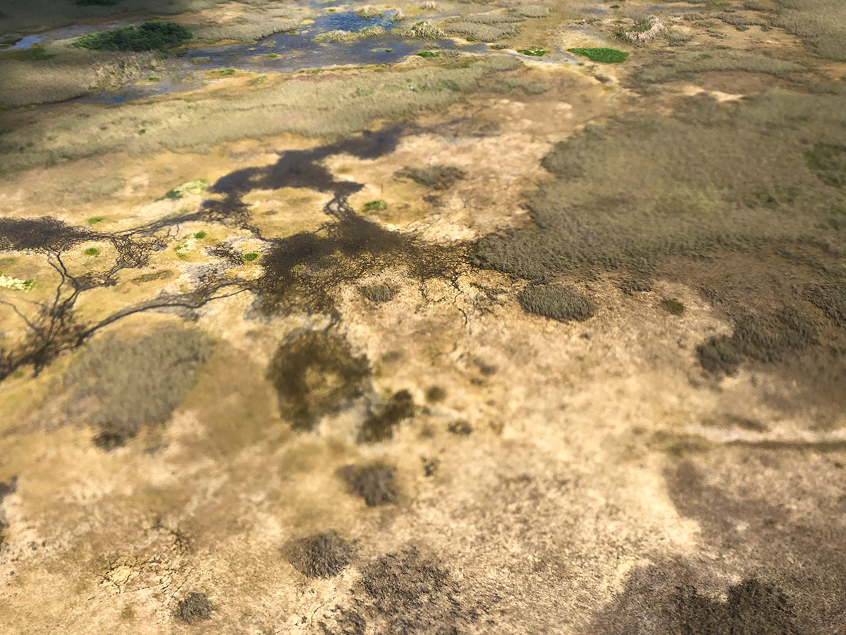 Aerial photo of Eastern Everglades during the dry season