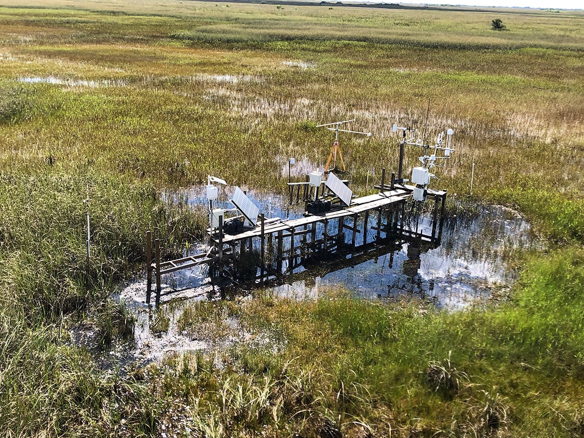 Flux tower in Everglades