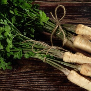 Parsnip