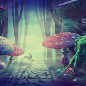 Wonderland