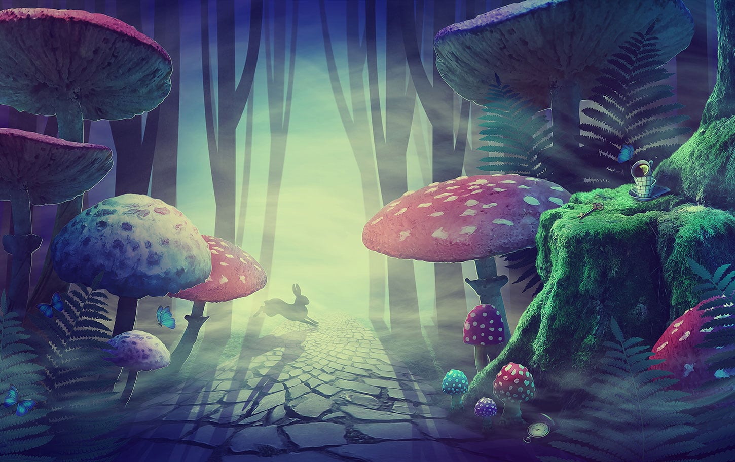 Wonderland
