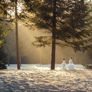 Snowmen in forest with afternoon light