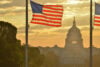U.S. flags with U.S. Capitol in background, at sunset