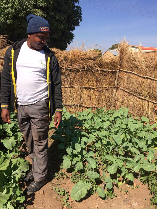 Urban farmer in Zambia