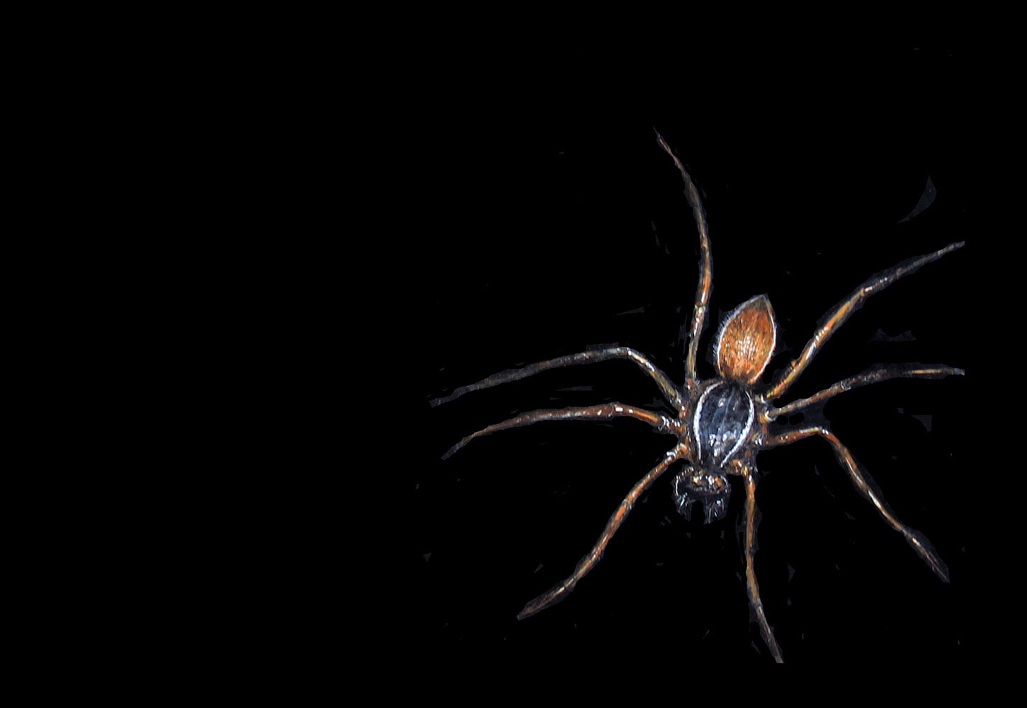 Spider, by Suzanne Stryk