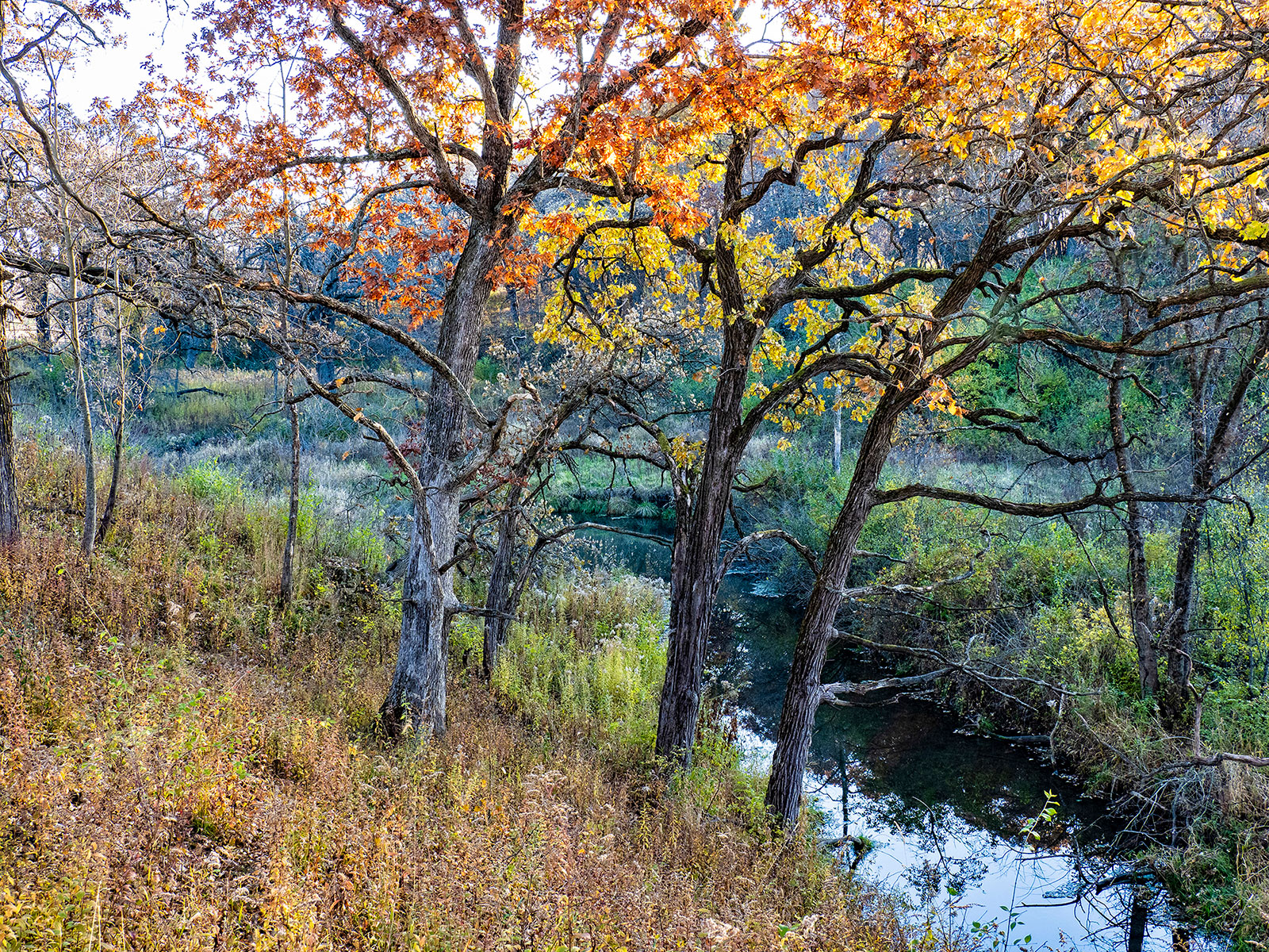 Autumn creek at Nachusa Grasslands