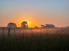 Summer sunrise at Nachusa Grasslands