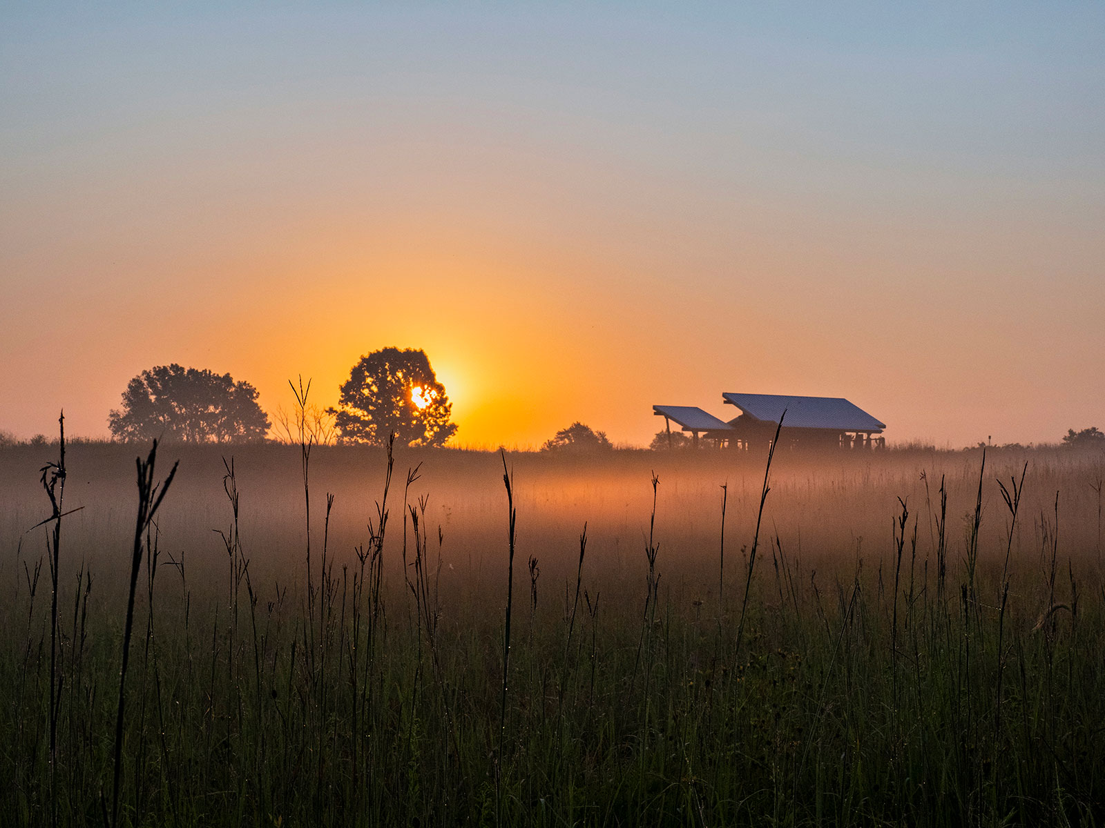 Summer sunrise at Nachusa Grasslands