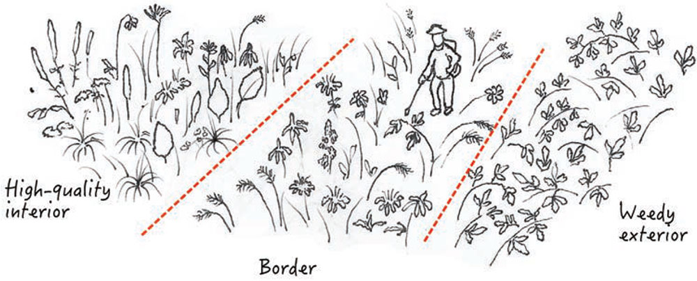 High-quality interior - Border - Weedy exterior