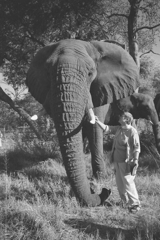 Author with elephant