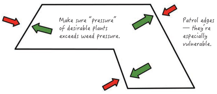 Planting image 1