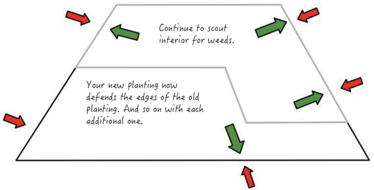 Planting image 2