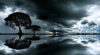 Large trees along river with dark clouds
