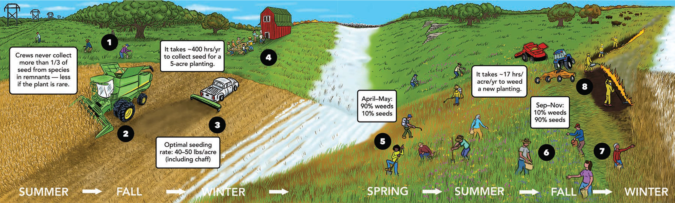Summer - Fall - Winter - Spring