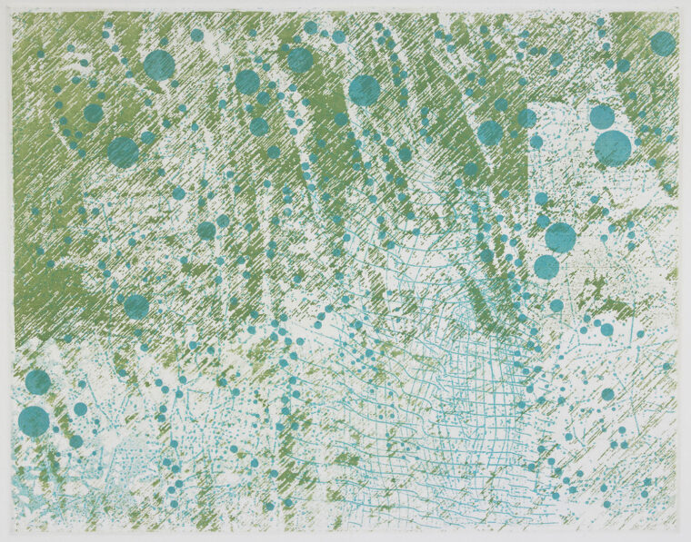 "Rain on Ferns" by Rosalyn Richards
