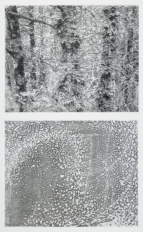 "Remembrance of Trees" by Rosalyn Richards
