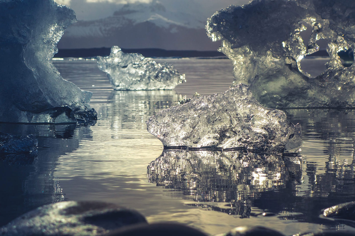 sea ice