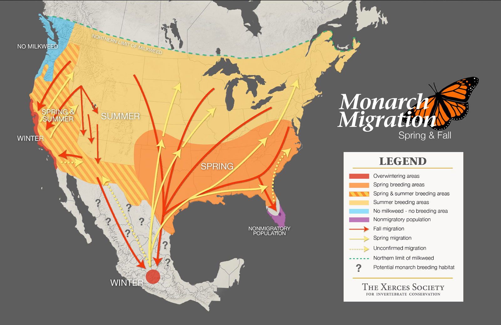 Monarch migration, spring and fall
