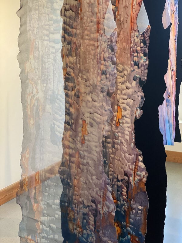 State of the Forest, by Suze Woolf