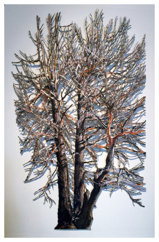 Deep Creek Triplet, by Suze Woolf