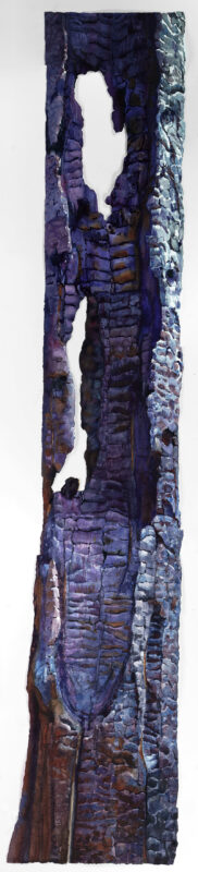 Carved Out, by Suze Woolf