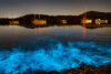 Bioluminescence at night on sea with boats