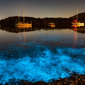 Bioluminescence at night on sea with boats