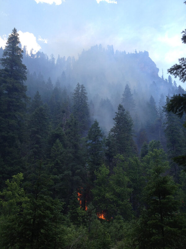 Small wildfire in mountainous forest
