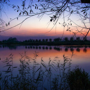 Evening pond