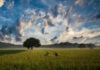 Clouds and farm