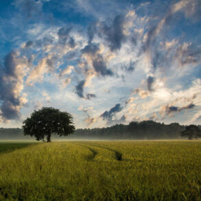 Clouds and farm