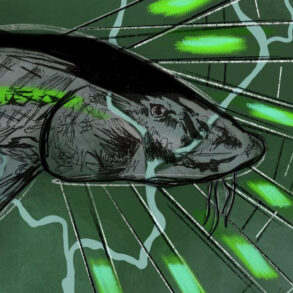 Fish and river system on green background