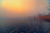 Smokey water's edge