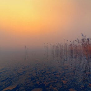 Smokey water's edge