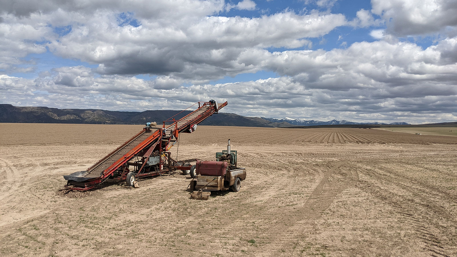 Potato harvester in dry field