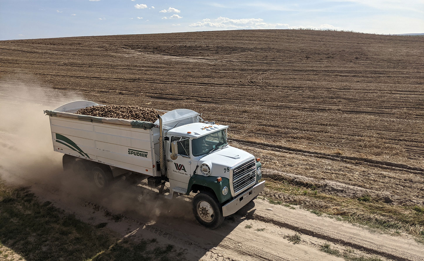 Truck carrying potatoes across dry landscape