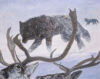 "Even the Wind Has Teeth" by Megan Perra