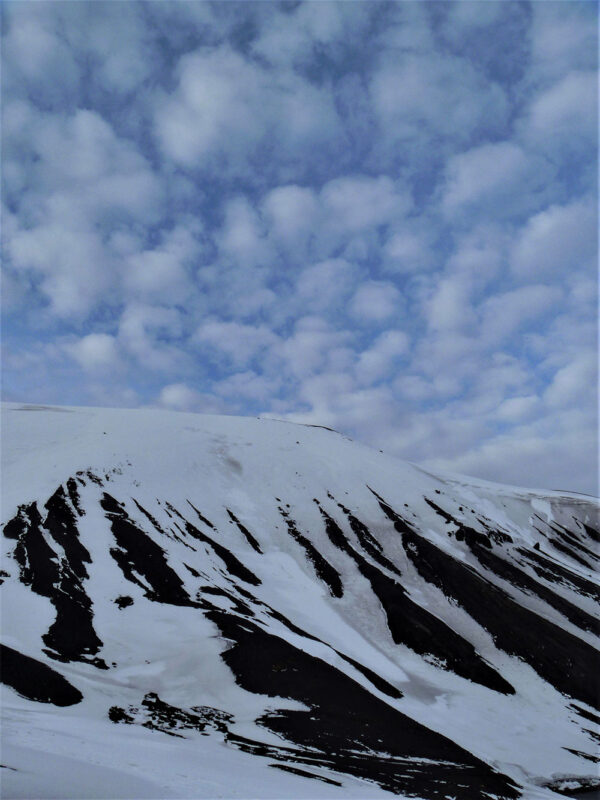 Antarctica