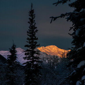 Winter mountain light