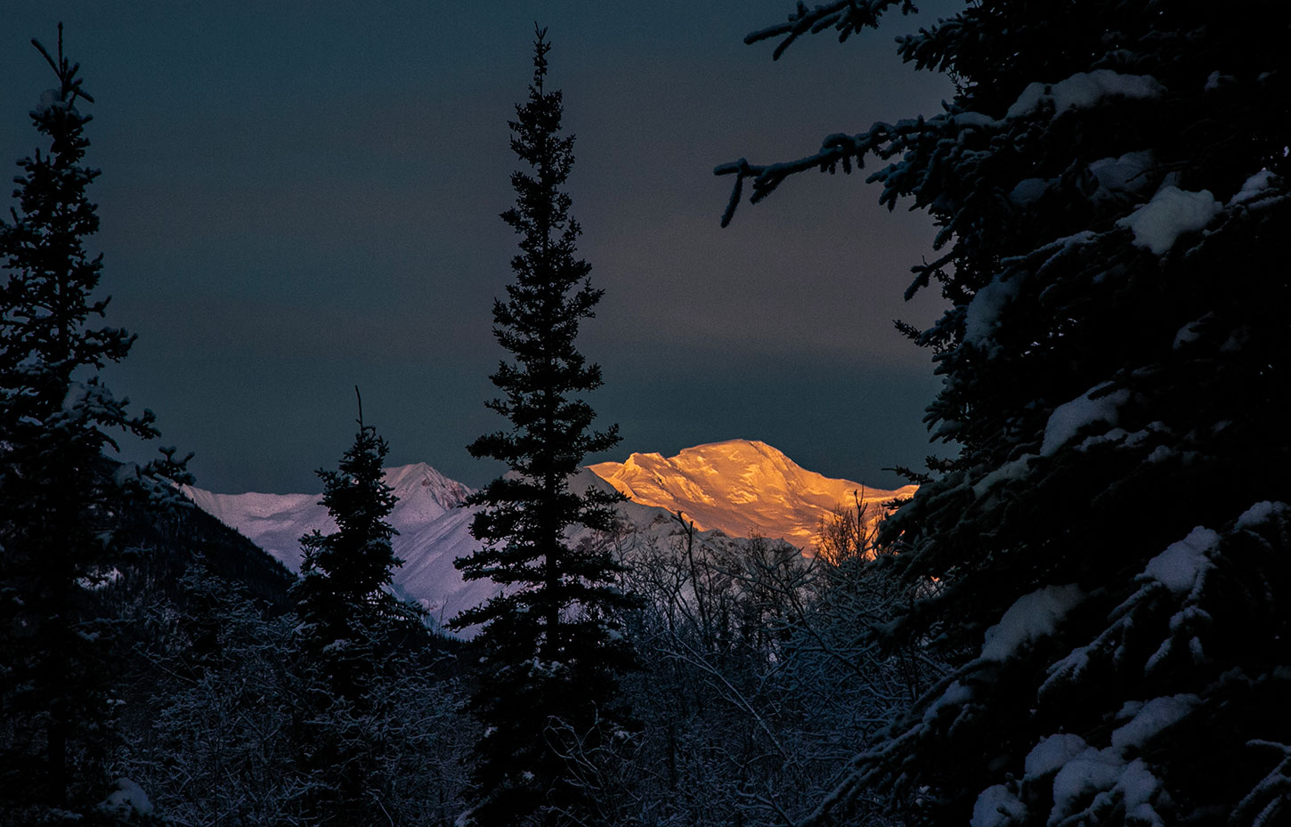Winter mountain light