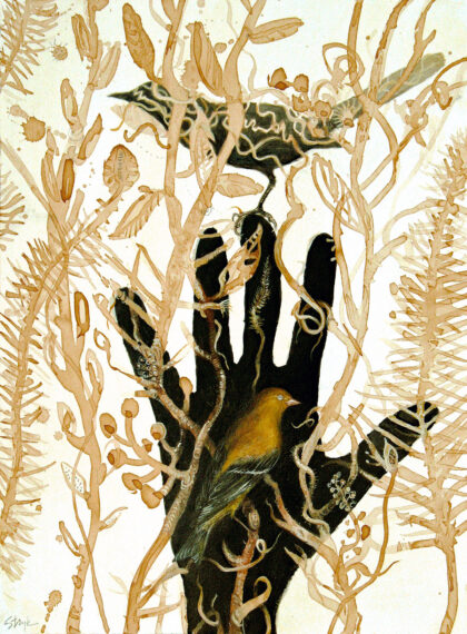 Bird in the Hand, by Suzanne Stryk