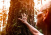 Hand on tree
