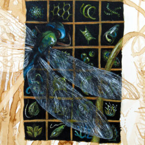 "Future Primeval" by Suzanne Stryk
