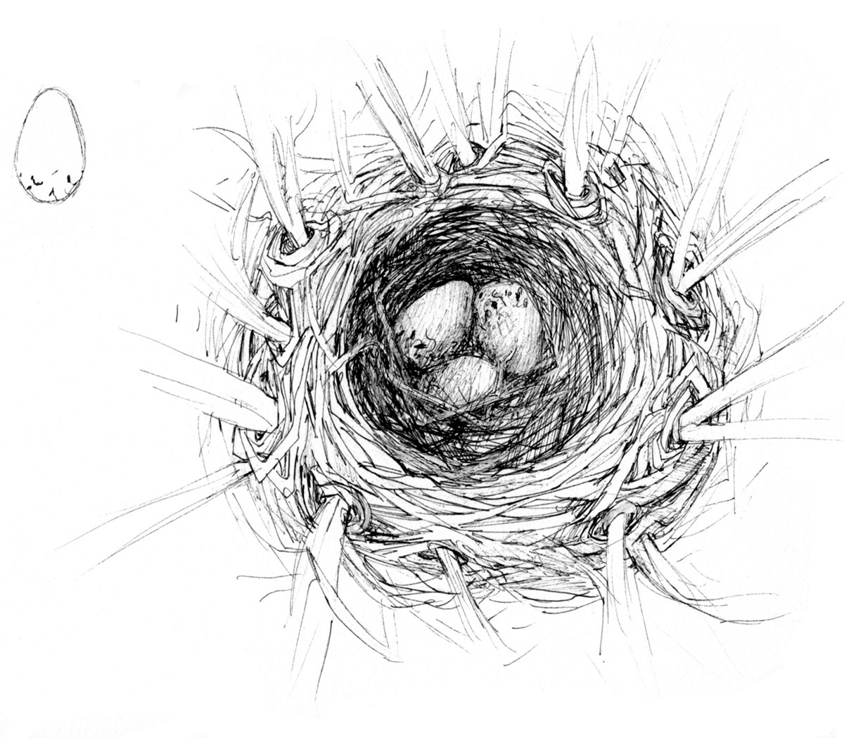 Nest illustration