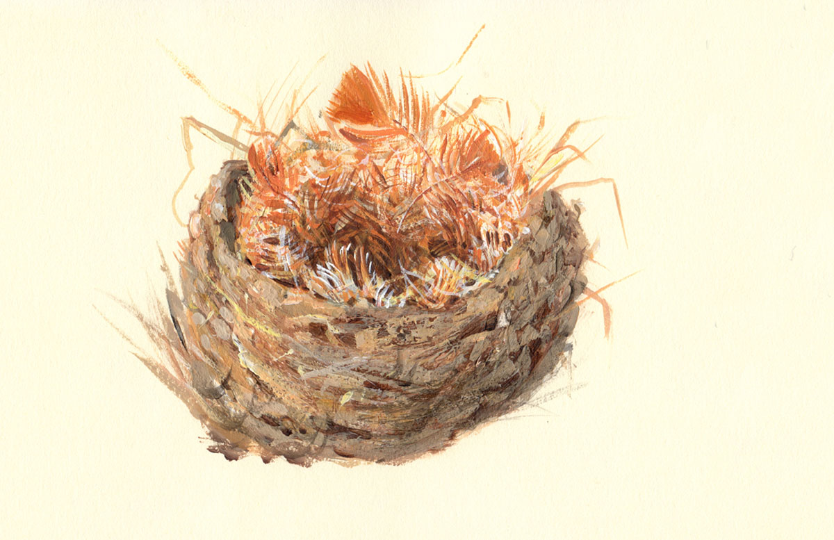 Illustration of nest