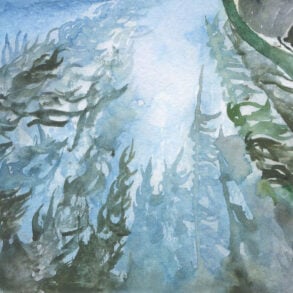 Kelp forests, a painting by Obi Kaufmann