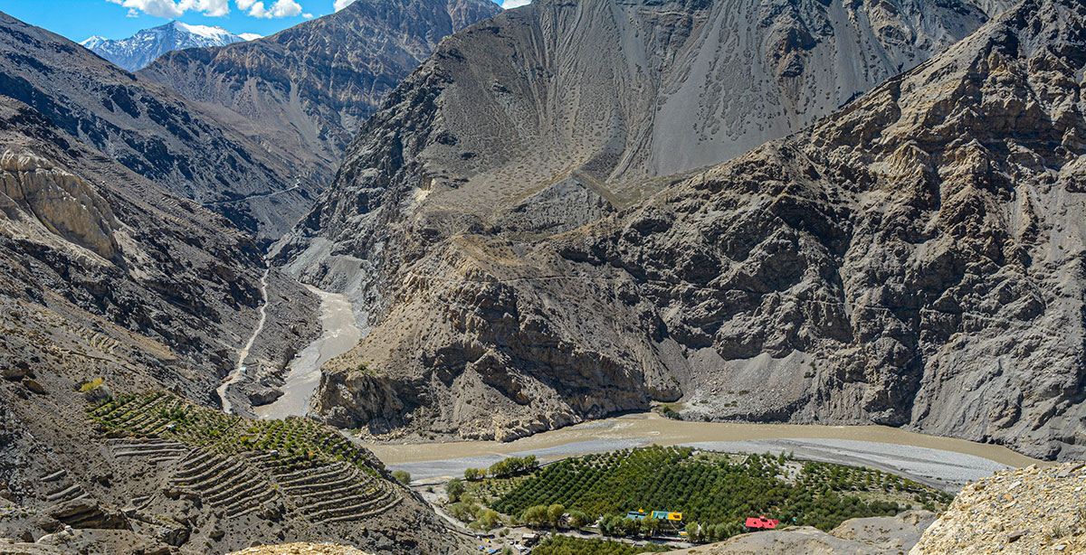 Developing apple orchards in Lower Spiti