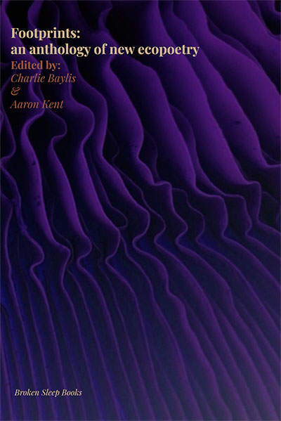 Footprints: an anthology of new ecopoetry