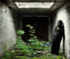 Man in gorilla suit